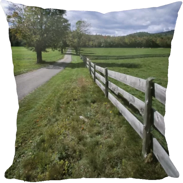 Fence and country road