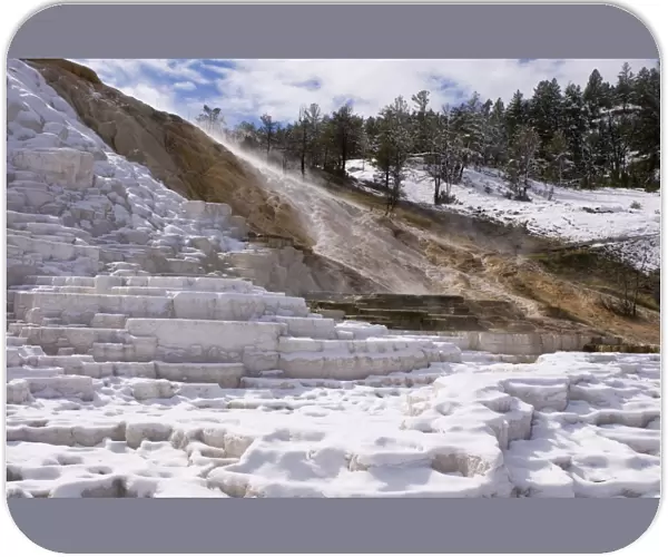 SP022446. Mammoth Hot Springs under snow, Yellowstone National Park