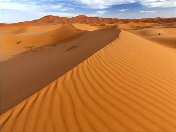 Wide angle view of the ripples and dunes of the Erg Chebbi Sand sea, part of the