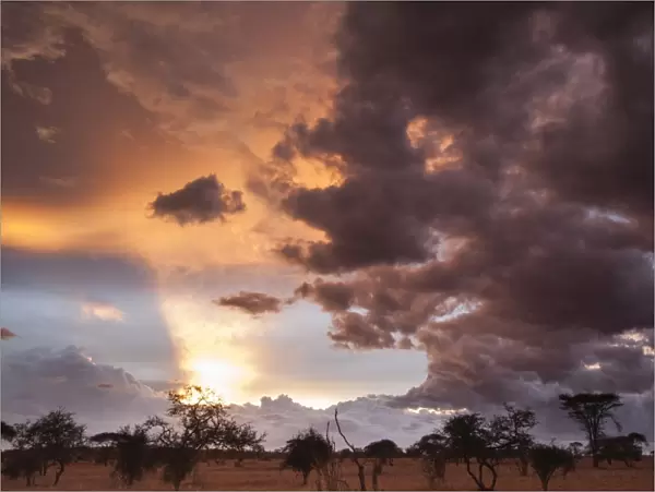Clouds approach the savannah at the beginning of the rainy season, Tsavo, Kenya, East Africa