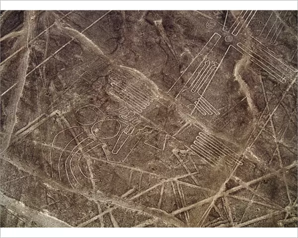 The Bird Geoglyph, aerial view, Nazca, UNESCO World Heritage Site, Ica Region, Peru