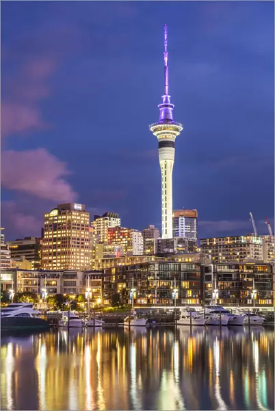Viaduct Harbour waterfront area and Auckland Marina at night, Auckland skyline, Sky Tower