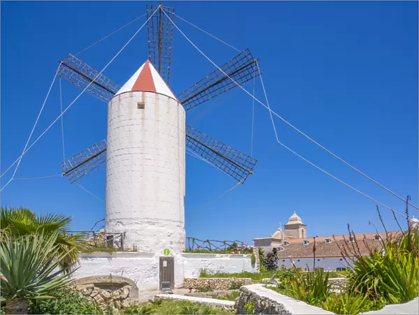 View of whitewashed windmill and Tourist Info Centre, Es Castell, Menorca, Balearic Islands, Spain, Mediterranean, Europe