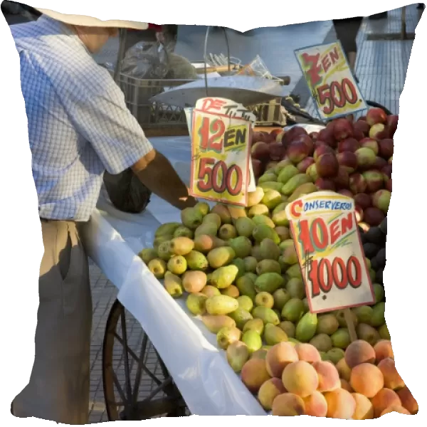 Stall selling fruit in central Santiago on Avenue O Higgins, Santiago