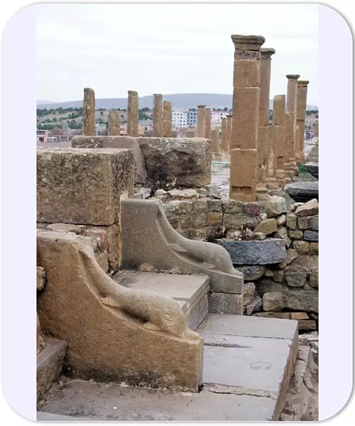 Latrine, Roman site of Timgad, UNESCO World Heritage Site, Algeria, North Africa, Africa