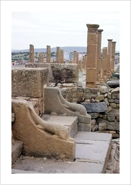 Latrine, Roman site of Timgad, UNESCO World Heritage Site, Algeria, North Africa, Africa