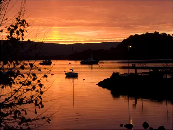 Sunrise over Tobermory Harbour and Calve Island in the Sound of Mull, Tobermory