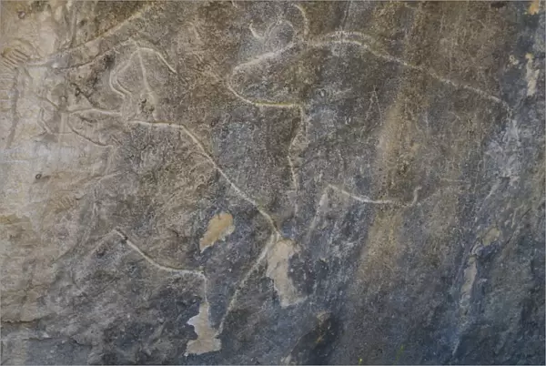 Petroglyphs, Qobustan, UNESCO World Heritage Site, Azerbaijan, Central Asia, Asia