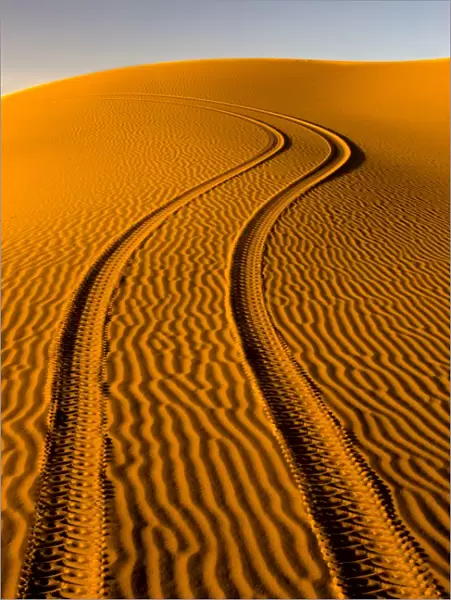 Fresh tyre tracks left by 4x4 recreational vehicle in the pristine sands of the Erg Chebbi sand sea near Merzouga, Morocco, North