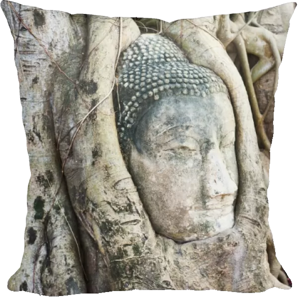 Large stone Buddha head in fig tree roots, Wat Mahathat, Ayutthaya City, UNESCO World Heritage Site, Thailand, Southeast Asia, Asia