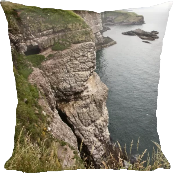 Cliffs at Fowlsheugh Nature Reserve, Crawton, Aberdeenshire, Scotland, United Kingdom, Europe