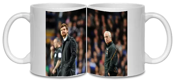 Andre Villas-Boas vs. Wolverhampton Wanderers: A Barclays Premier League Clash - Chelsea vs. Wolves