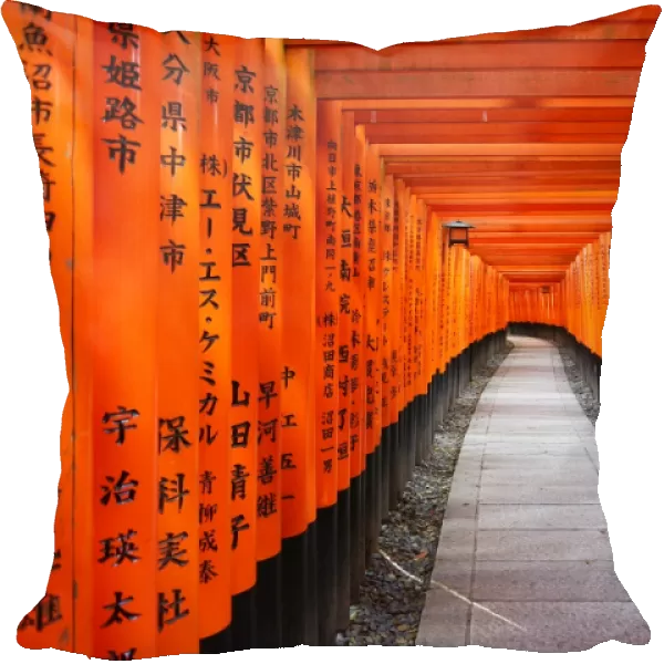 Tunnels of red Torii gates, Fushimi Inari shrine, Kyoto, Japan