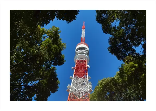 The Tokyo Tower seen framed through trees in Tokyo, Japan