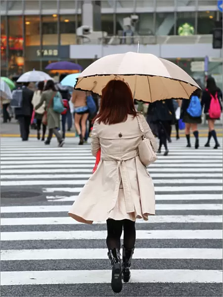 Japanese woman crossing the street with umbrella in the rain on a pedestrian crossing in Shibuya, Tokyo, Japan
