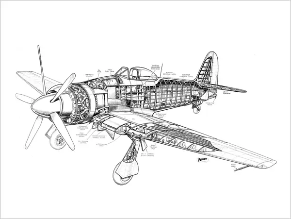 Hawker Sea Fury Cutaway Drawing