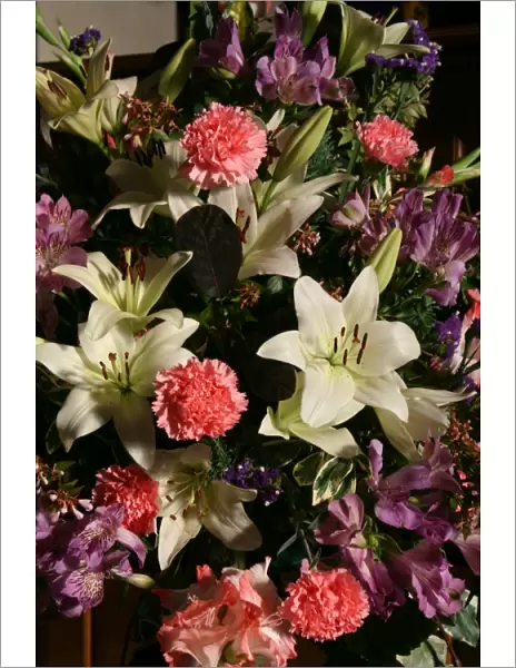Lilies and carnations