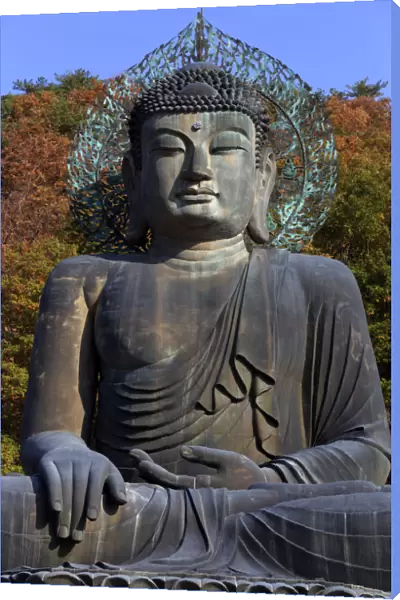 South Korea, Gangwon-do, Seoraksan National Park, Buddha at Sinheung-sa temple complex