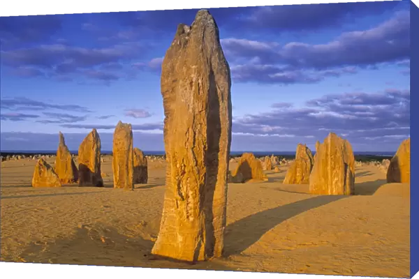 The Pinnacles, Western Australia, Australia