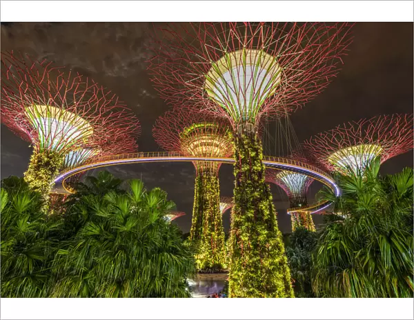 The Supertree Grove light show at Gardens by the Bay nature park, Singapore