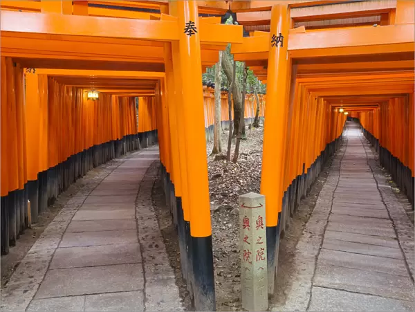 Asia, Japan, Honshu, Kansai Region, Kyoto, Fushimi-Inari Taisha shrine, a pathway