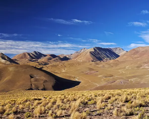 Bolivia, Potosi Department, Landscape of the Sur Lipez Province