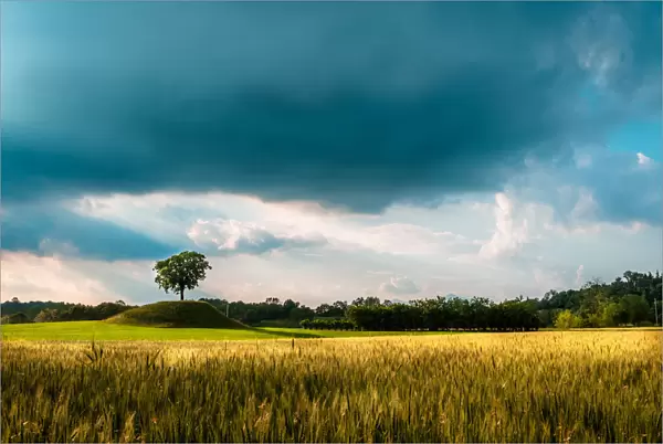 Fields of Friuli in a stormy spring day, Udine province, Friuli Venezia-Giulia region