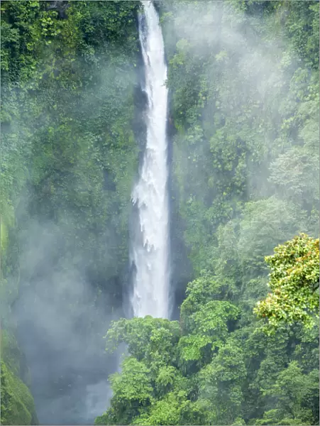Central America, Costa Rica, Alajuela, Varablanca, La Paz waterfall gardens, view
