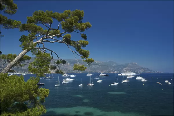 Yachts, Paloma Beach, Saint Jean Cap Ferrat, Cote d´Azur, Alpes-Maritimes
