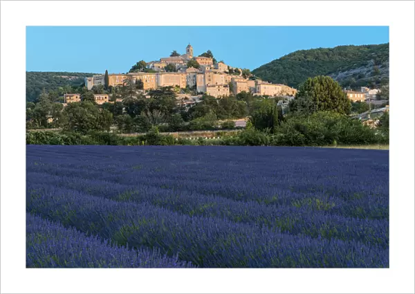 Europe, France, Provence, Banon with lavender field