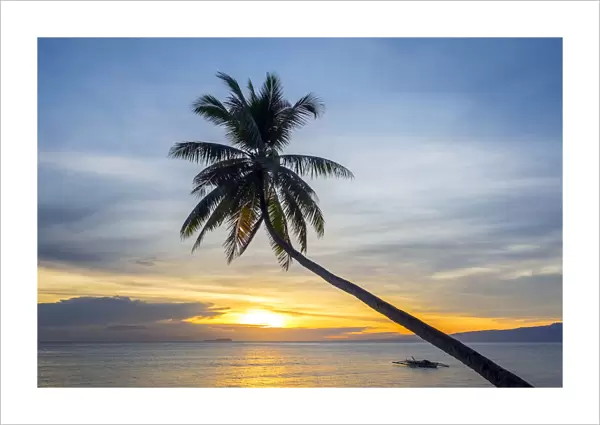 Palm tree silhouetted against the sunset, Paliton Beach, San Juan, Siquijor Island