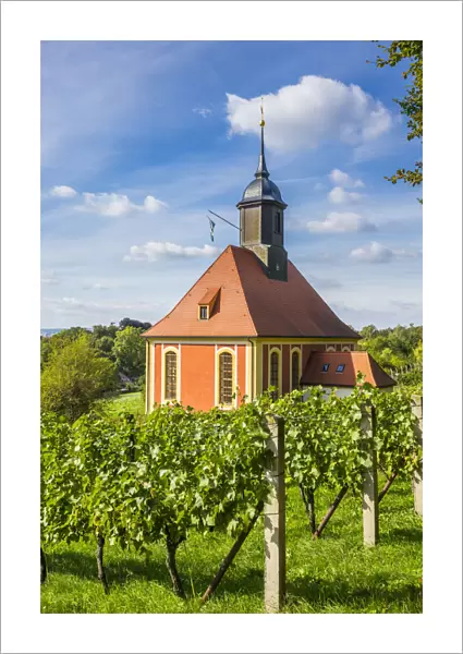 Chapel and Vineyards in Pillnitz, near Dreden, Saxony, Germany