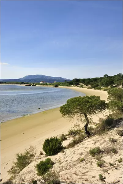 Troia lagoon. Sado River Nature Reserve, Portugal