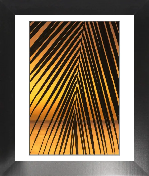 Framed Print : Caribbean Print: Grand Anse Bay Beach, Grenada Framed Print : Caribbean Print: Grand Anse Bay Beach, Grenada