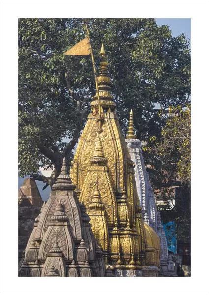 India, Uttar Pradesh, Varanasi, Vishwanath Golden Temple
