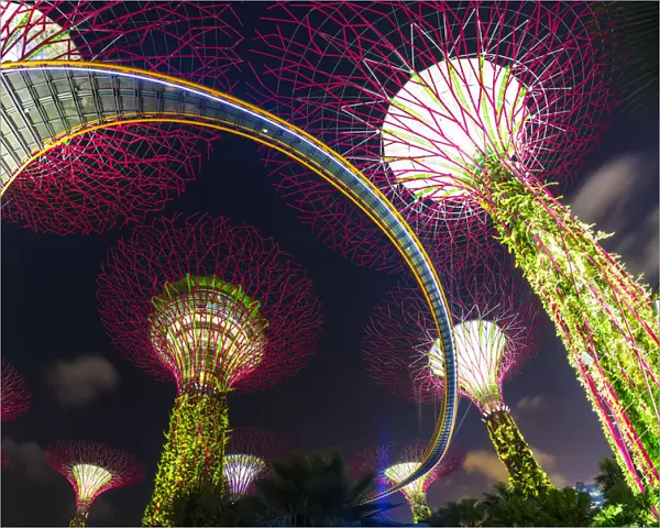 Gardens by the Bay and Super Tree Grove at night, Marina Bay, Singapore