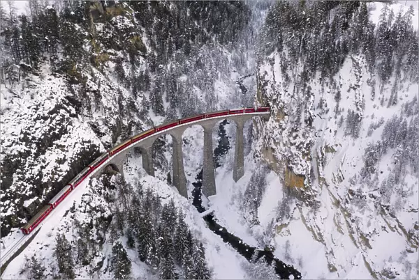 Bernina Express passes through the snowy woods Filisur Canton of Grisons Switzerland