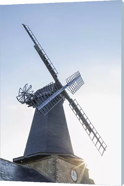 England, East Sussex, Brighton and Hove, Hove, West Blatchington Windmill