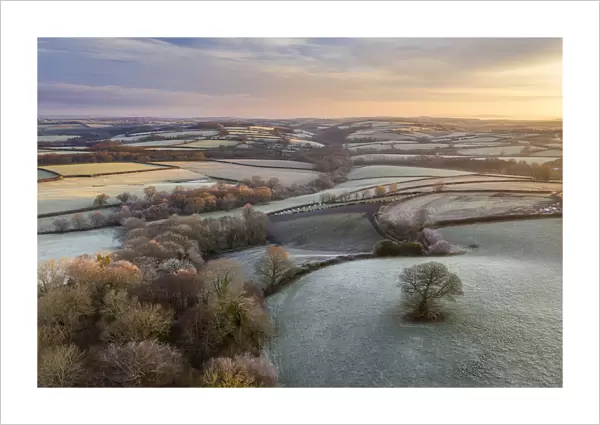 Rolling countryside at dawn on a frosty winter morning, Devon, England