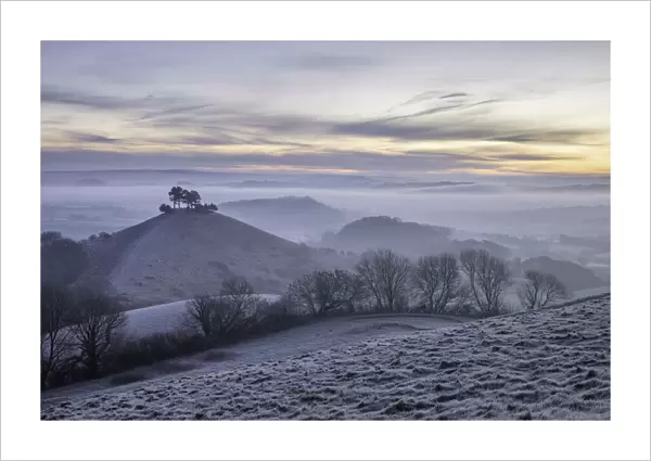 Frosty winter sunrise at Colmers Hill viewed from Quarry Hill, Bridport, Dorset