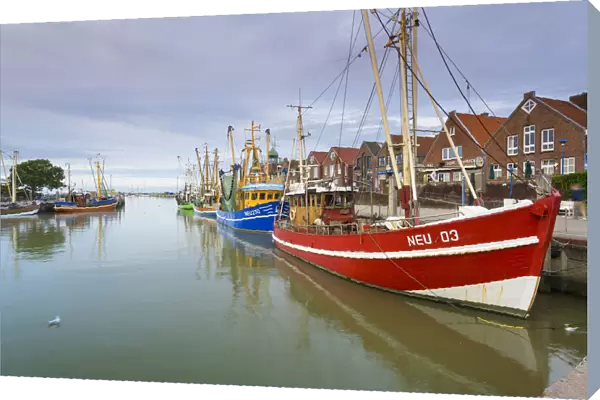 Shrimp cutter in the fishing harbor in Neuharlingersiel, East Frisia, North Sea