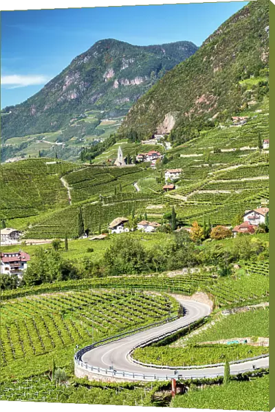 S-Shape Road Through Vineyards, near Bolzano, South Tyrol, Italy