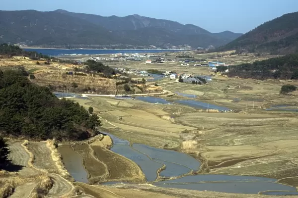 Rice fields dominate the valleys in South Koreas interior