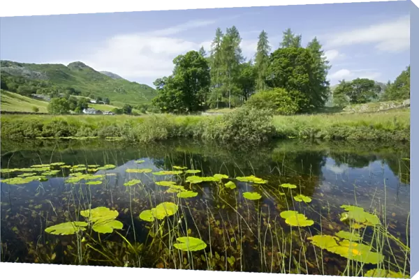 Little Langdale Tarn in the Lake District UK