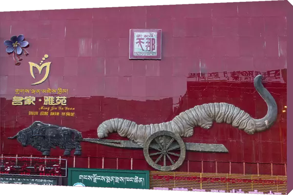 A shop in Lhasa, Tibet, advertising Yartsa Gunbu - the caterpillar fungus