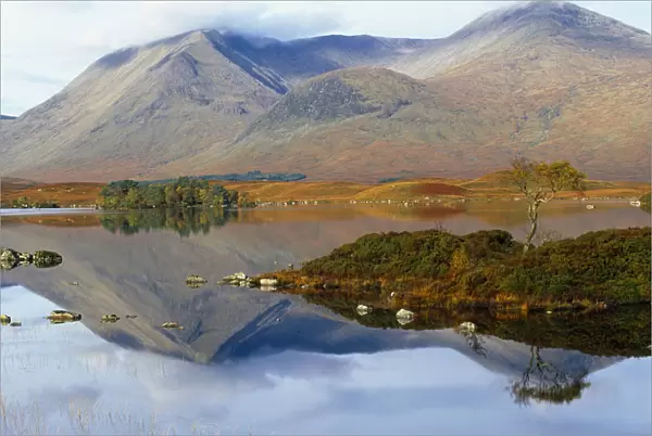 Scotland, Argyll and Bute, Rannoch Moor, Loch Na H Achlaise at Rannoch Moor, Mountains reflected in water with trees growing on small island