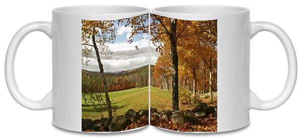 20081061. USA New Hampshire Meredith Autumnal foliage Fall