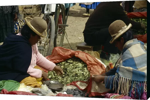 BOLIVIA, Pocata Coca leaves being sold at market