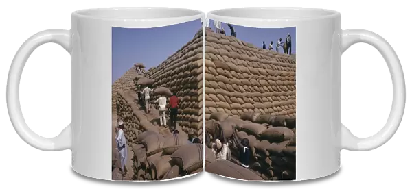 20078345. NIGERIA Kano Workers building pyramid of sacks of ground nuts