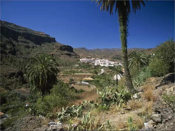 20064152. SPAIN Canary Islands Gran Canaria Fataga